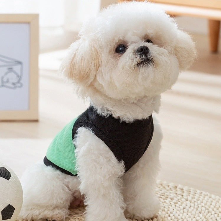 Breathable Mesh Dog Vest Harness with Paw Print Lightweight Pet Walking Vest