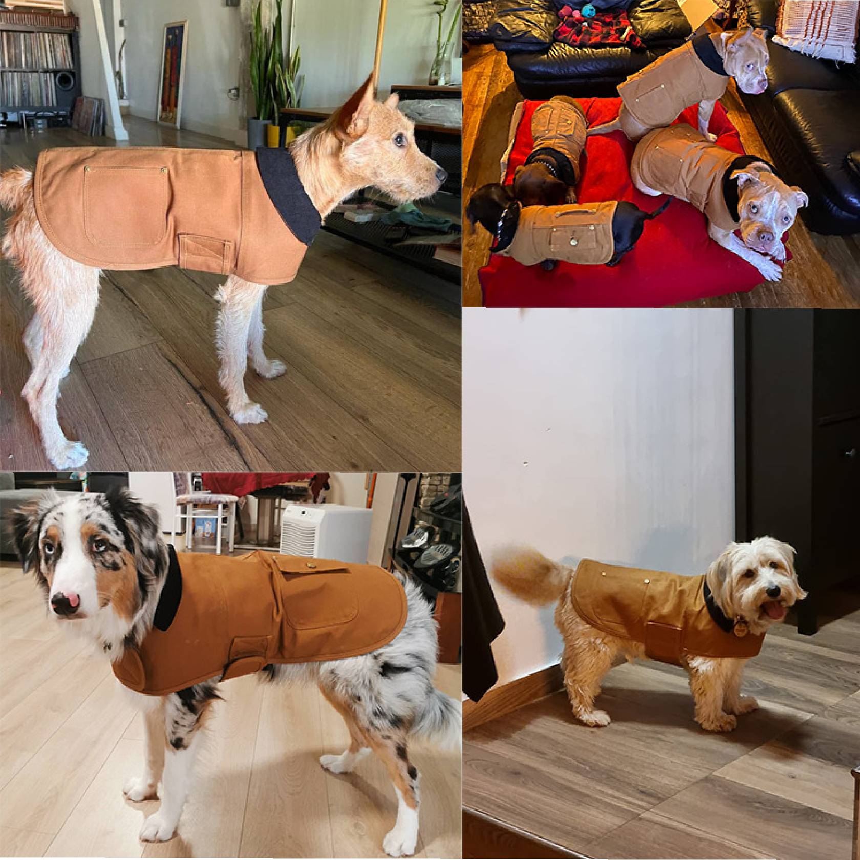 Waterproof Warm Dog Coat Adjustable Velcro Nylon Windproof Dog Clothes for Winter Outdoor Activities Warm Coat for Small Medium Large Dogs