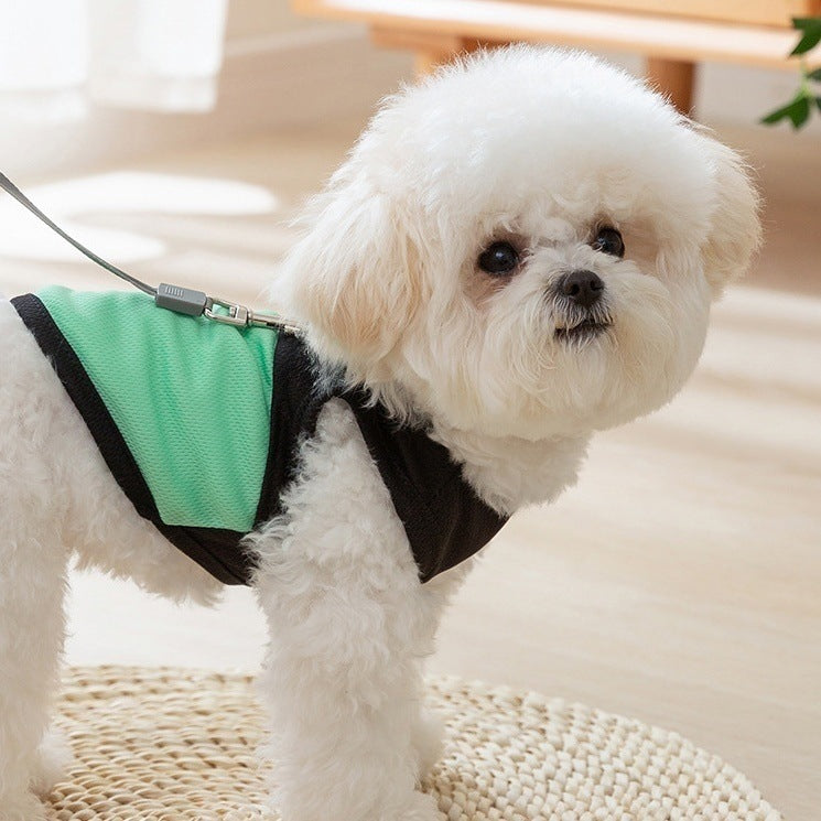 Breathable Mesh Dog Vest Harness with Paw Print Lightweight Pet Walking Vest