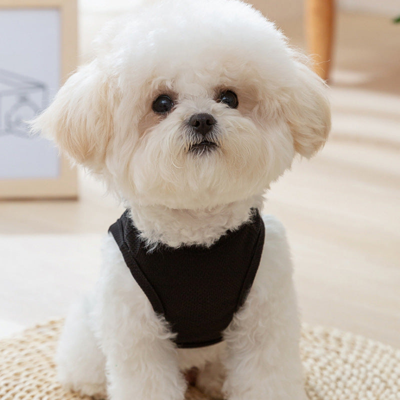 Breathable Mesh Dog Vest Harness with Paw Print Lightweight Pet Walking Vest