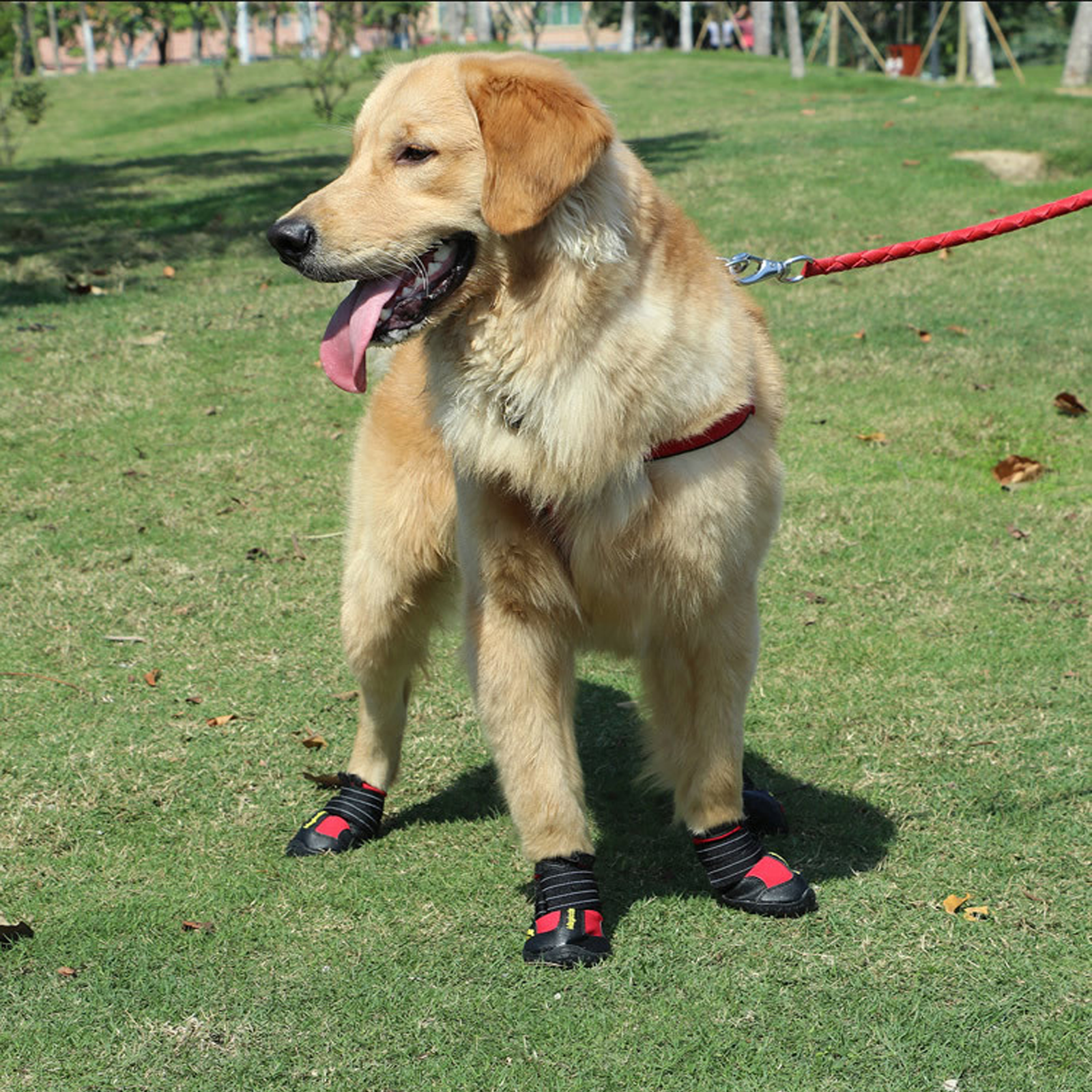 Waterproof Comfortable Breathable Non Slip Adjustable Dog Shoes Dog Boots for All Weather Protection and Maximum Paw Safety for Active Dogs and Outdoor Adventures