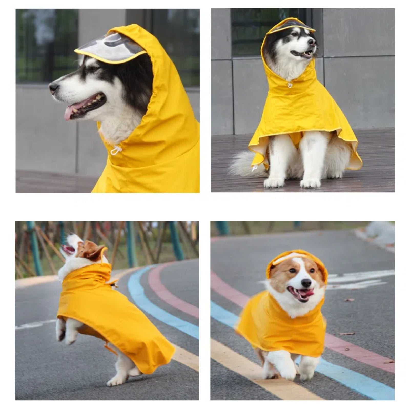 Hooded Dog Raincoat Waterproof Pet Rain Jacket with Transparent Hood