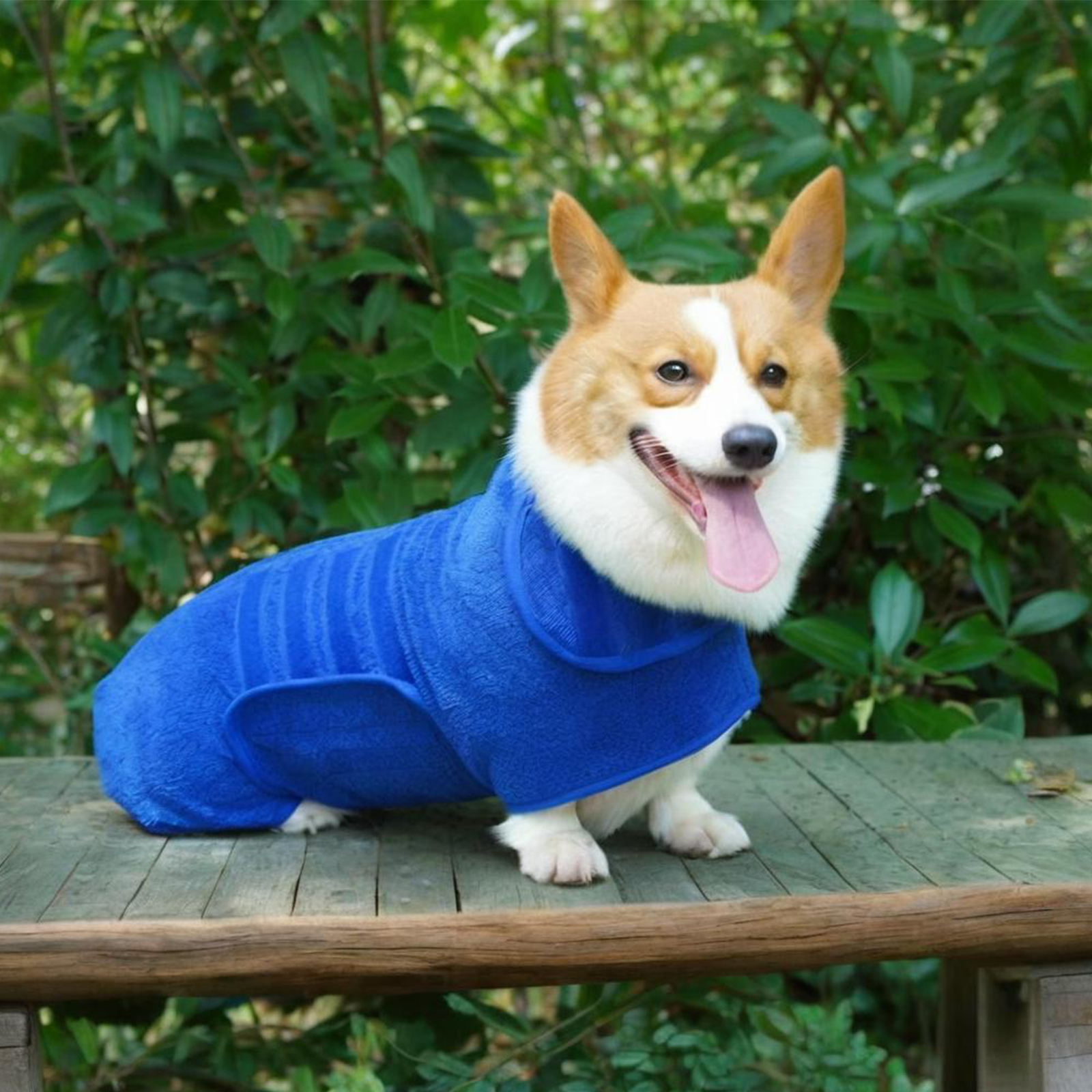 Dog Drying Coat Bathrobe Towel, Soft Absorbent Quick-Dry Pet Apparel Suitable for All Breeds & Sizes