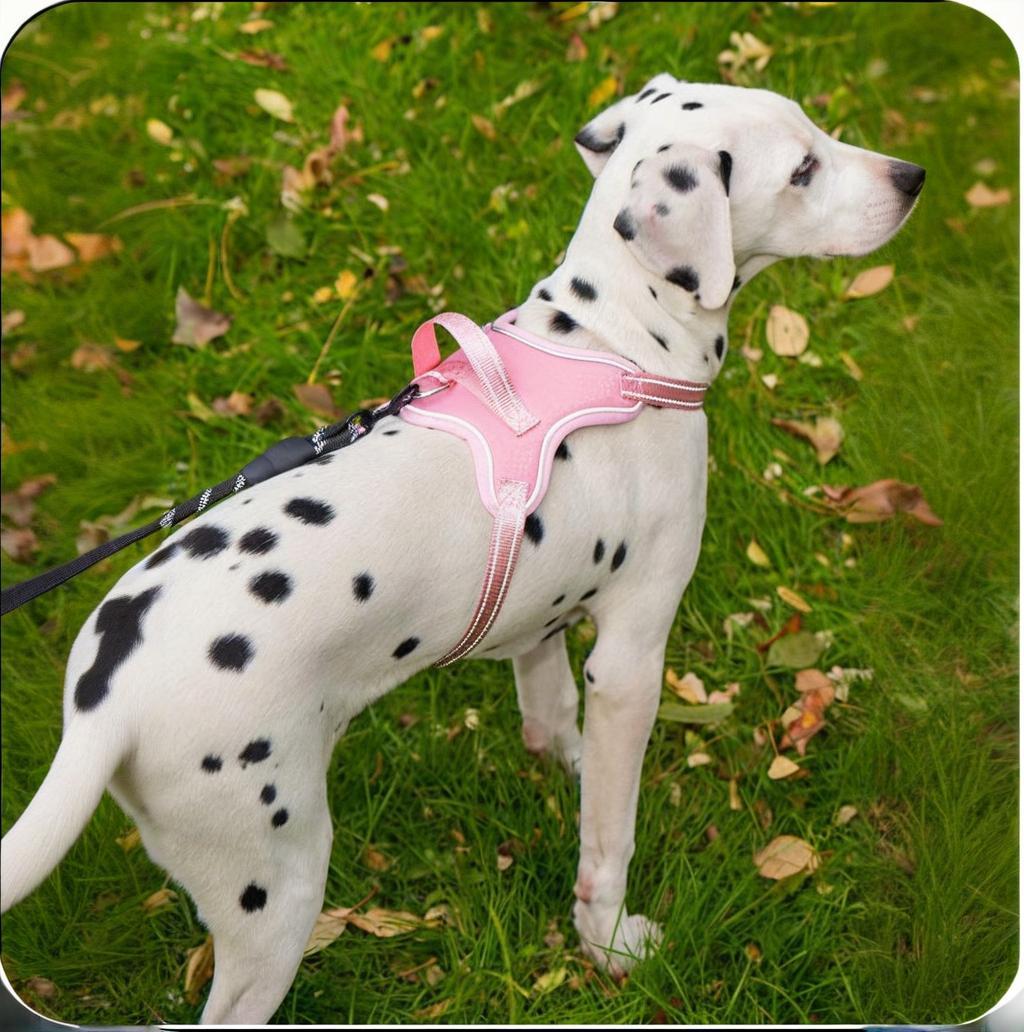 RichePet Dog Harness No Pull Adjustable Reflective Oxford for Small Medium Large Dogs Walk Training Pet Owners