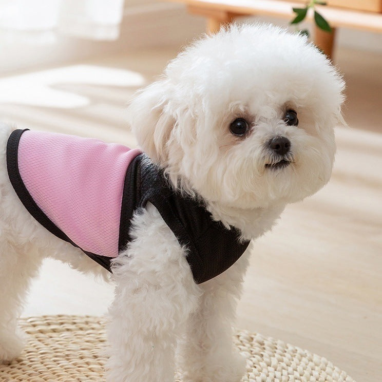 Breathable Mesh Dog Vest Harness with Paw Print Lightweight Pet Walking Vest