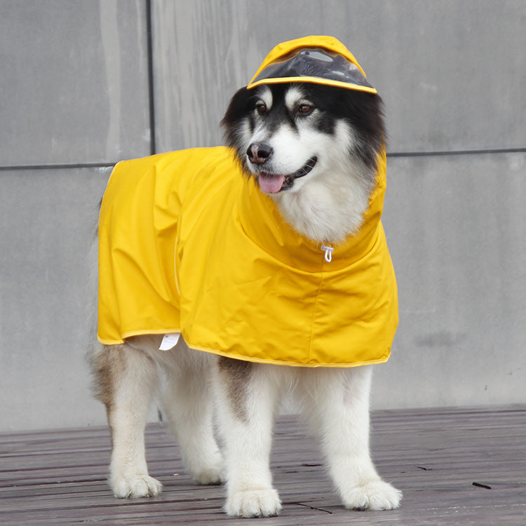 Pet Protective Gear