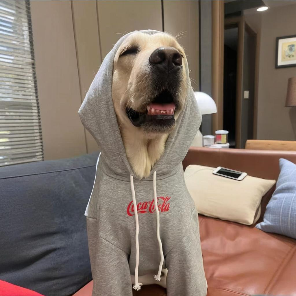 Pet Apparel