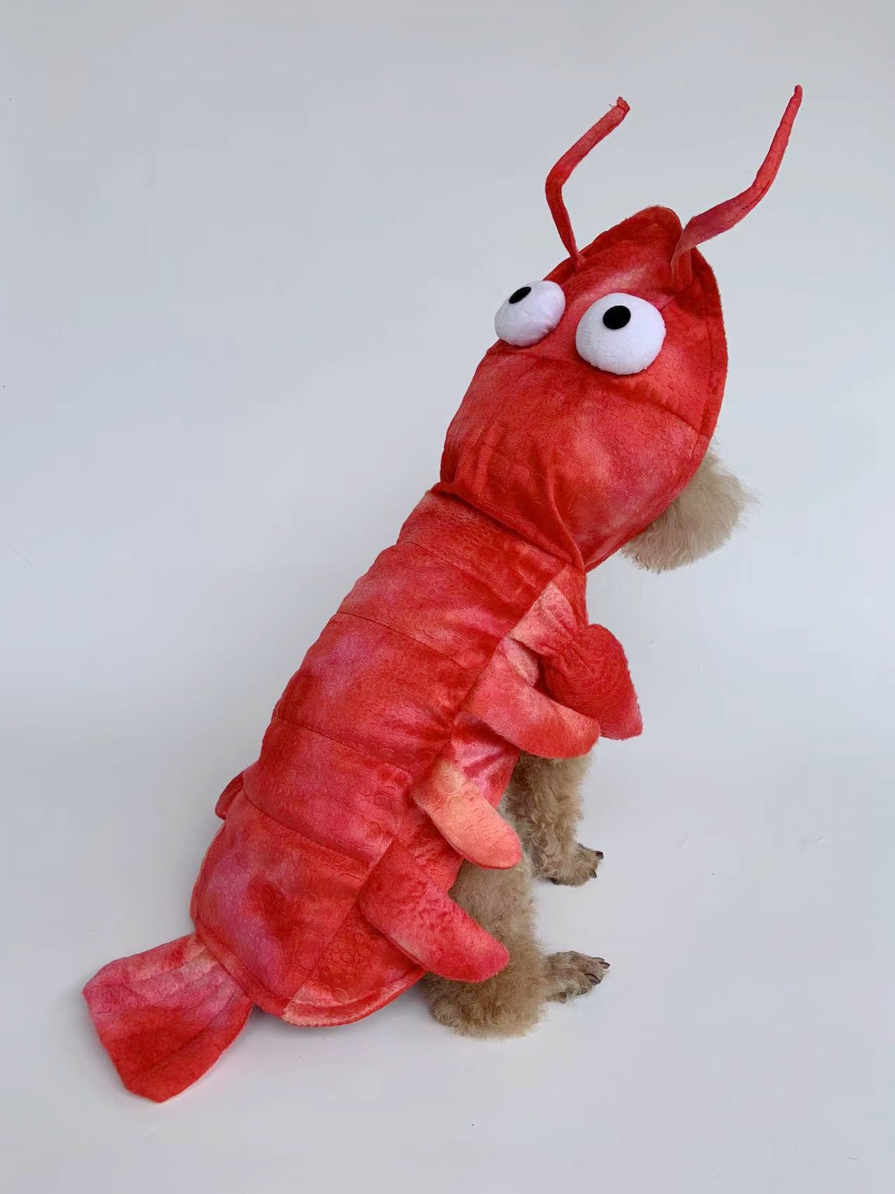 RichePet Cat Dog Lobster Costume - Halloween Pet Costume Lobster Role Playing Dog Costume Cat Dog Costume Party