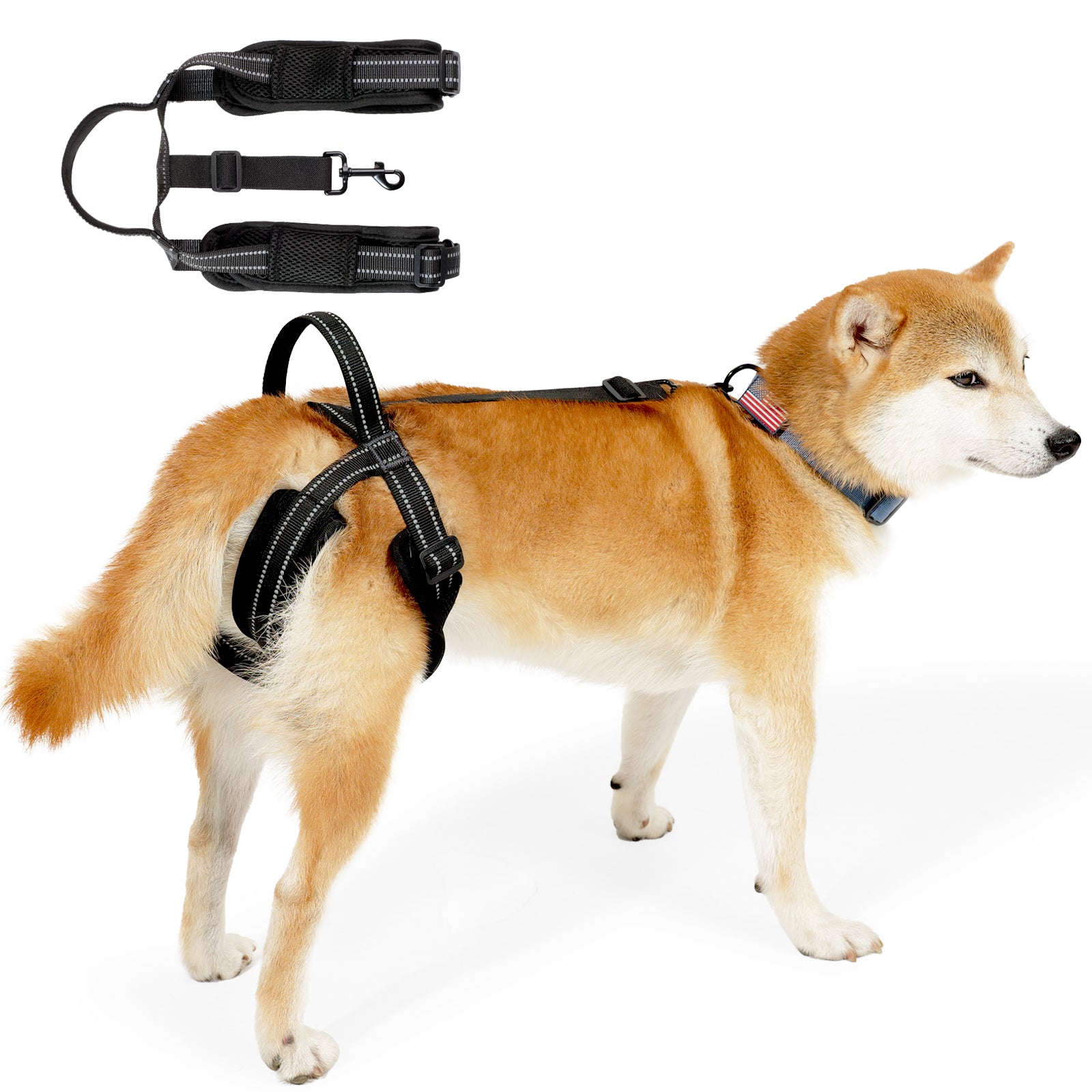 Dog Rear Leg Support Harness - Adjustable Assistive Strap for Aging or Injured Pets