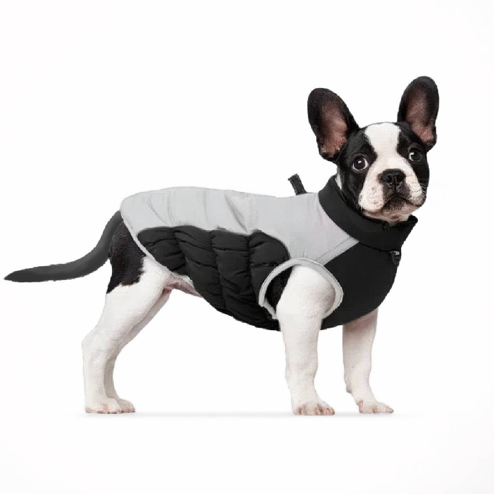 Dog Winter Padded Vest Warm Insulated Pet Jacket for Cold Weather