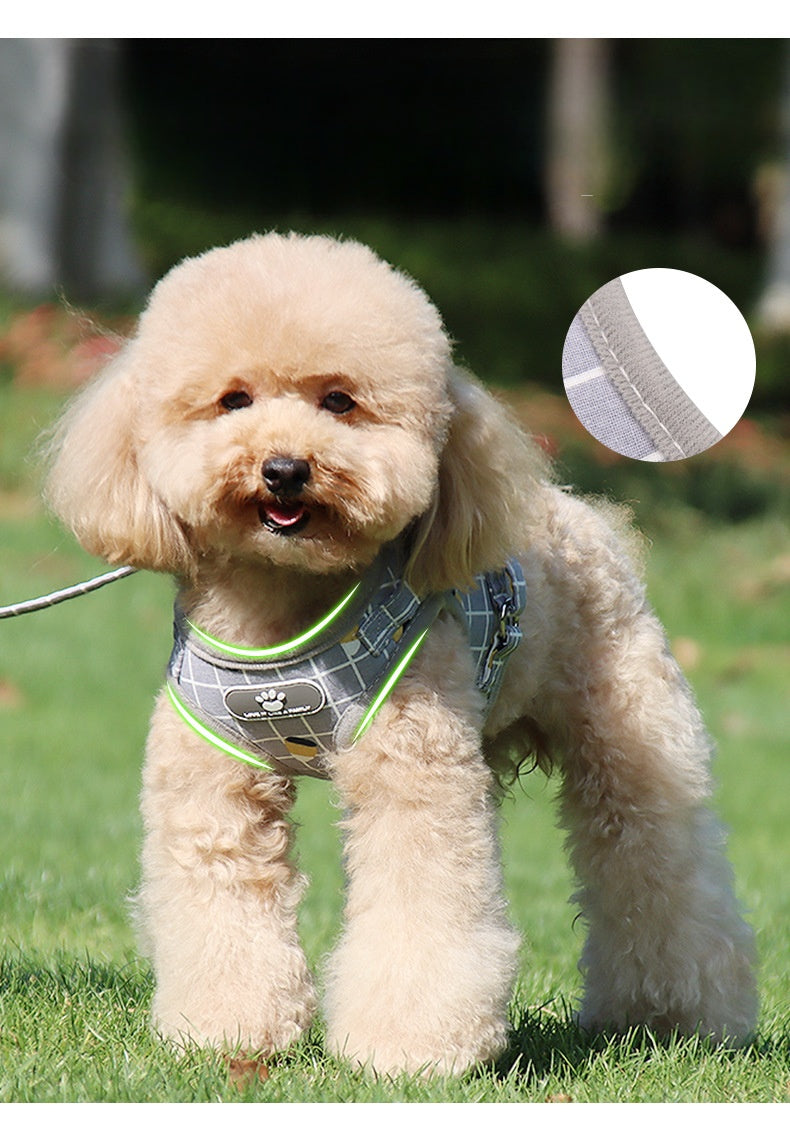 Stylish Mesh Dog Harness and Leash Set Adjustable No Pull Pet Vest for Small to Medium Dogs