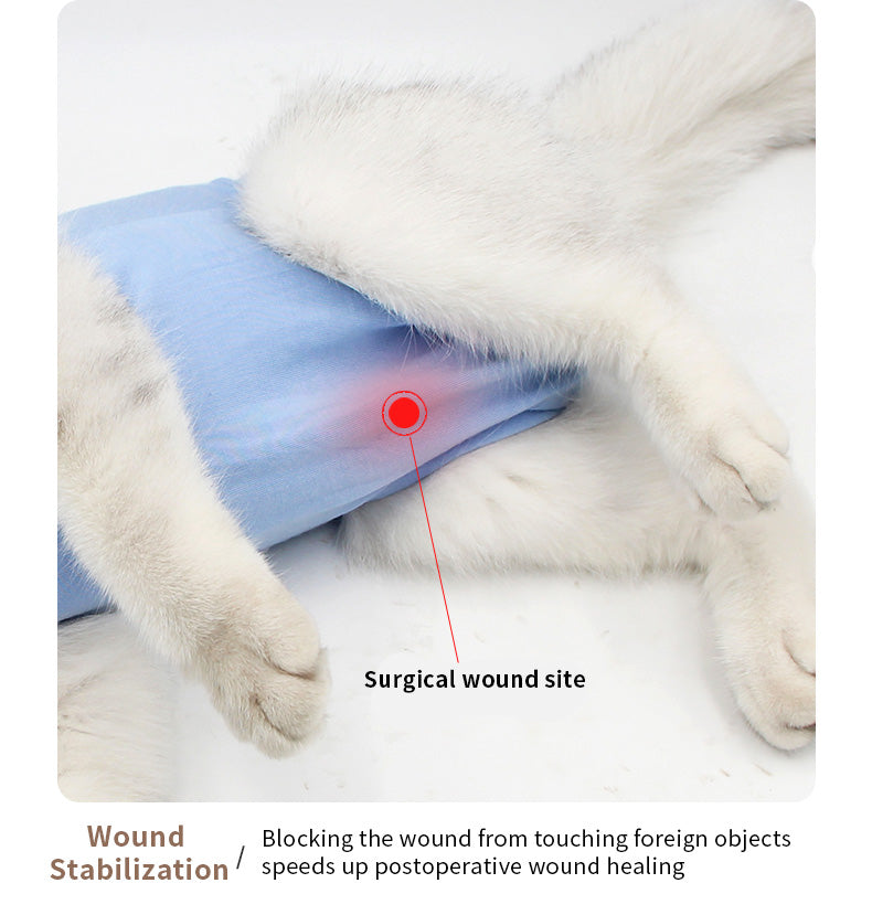 Postoperative cat suit, breathable cat jumpsuit for abdominal wounds or skin diseases after surgery, recovery suit for surgery, cat jumpsuit to prevent licking