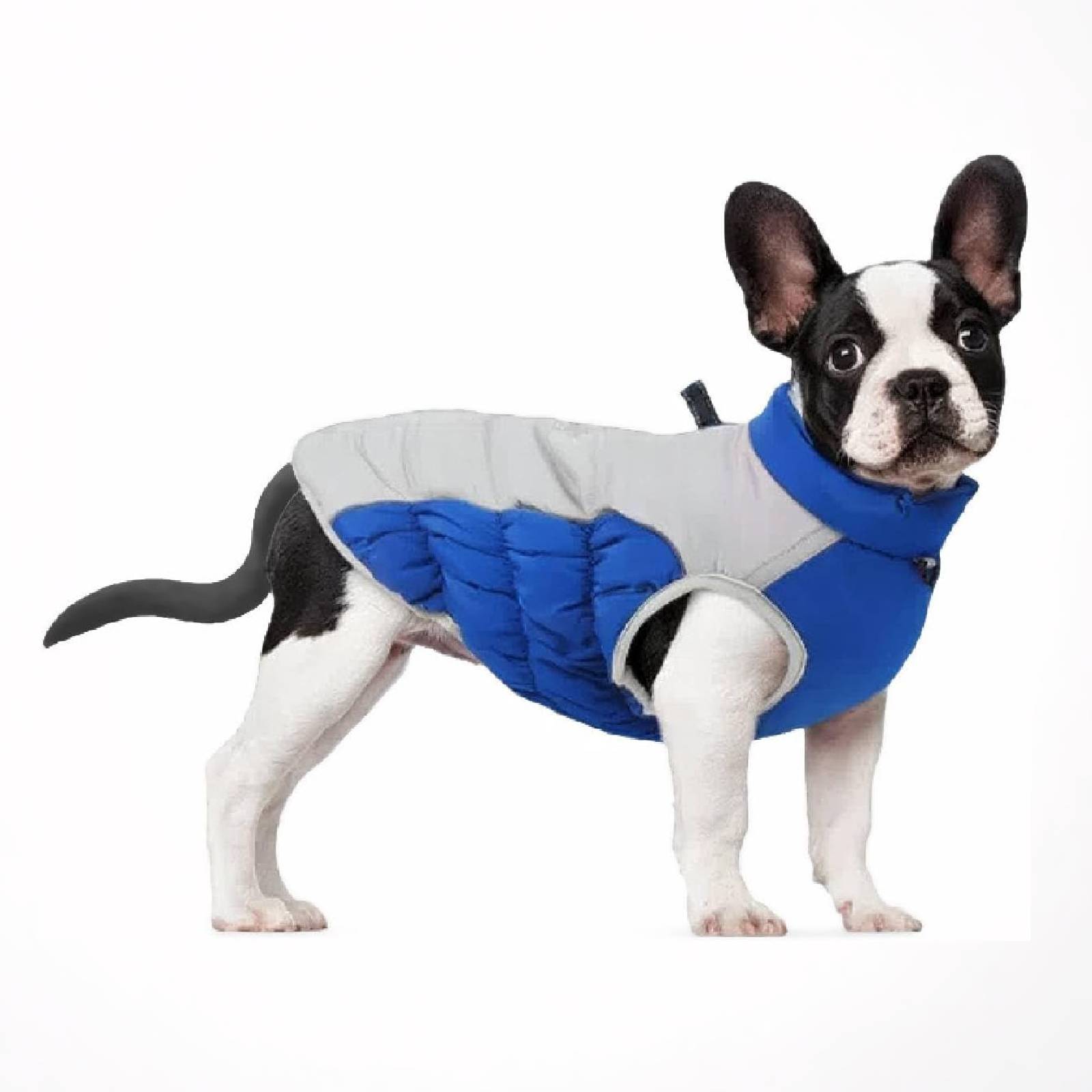 Dog Winter Padded Vest Warm Insulated Pet Jacket for Cold Weather