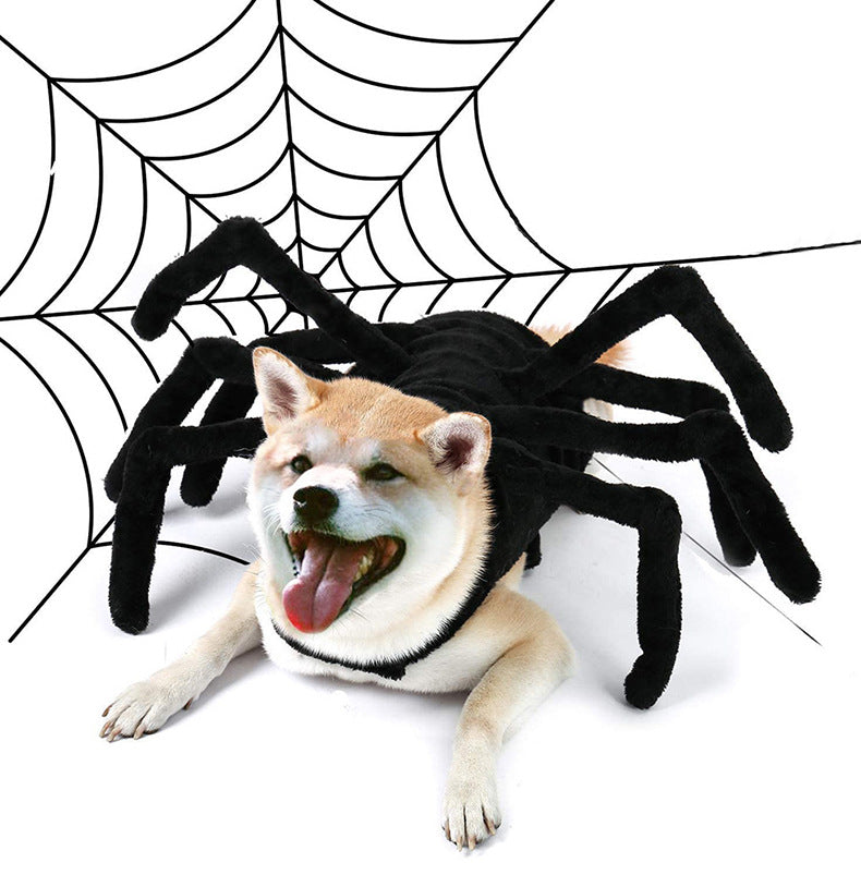 Spider Design Pet Costume, Halloween Pet Costume, Creative Pet Cosplay Costume, Party Costume for Dog & Cat, Pet Supplies