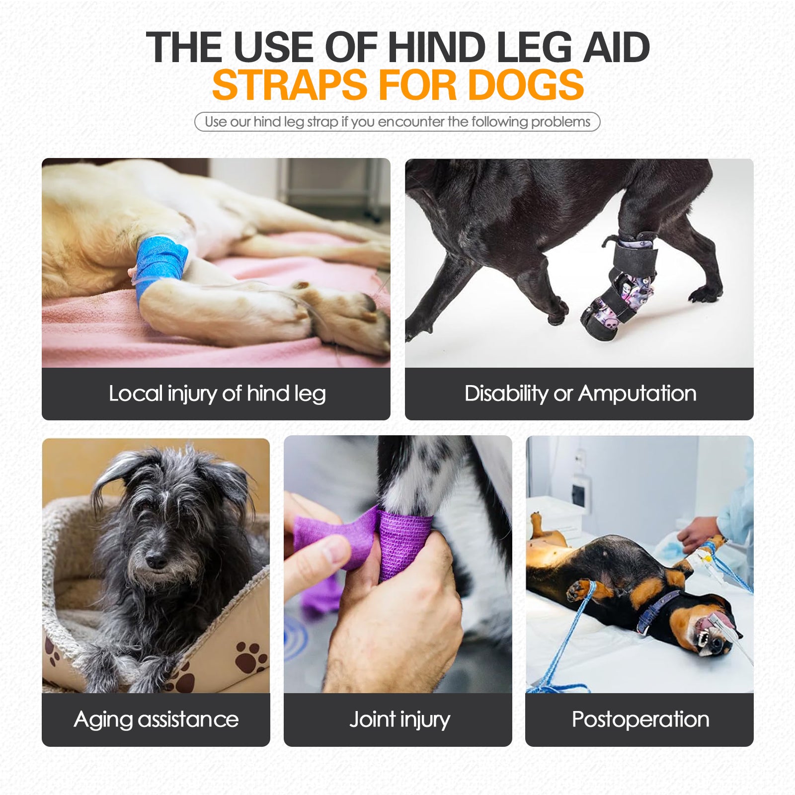 Dog Rear Leg Support Harness - Adjustable Assistive Strap for Aging or Injured Pets