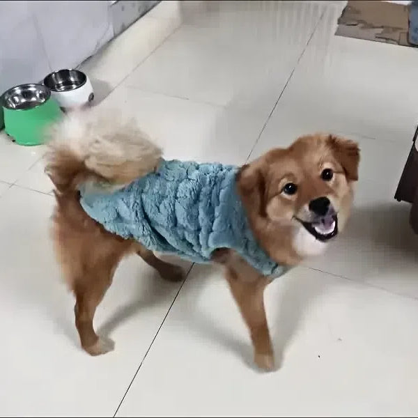 Dog Sweaters