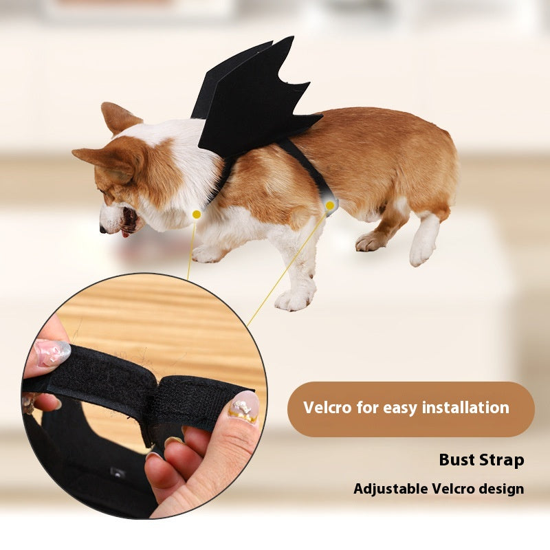 Halloween Pet Bat Wings Costume Cat Dog Cosplay Outfit with Pumpkin Bells