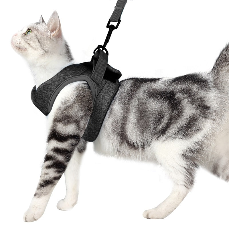 Cat Harness and Leash Set - Adjustable Soft Mesh Cat Vest for Walking
