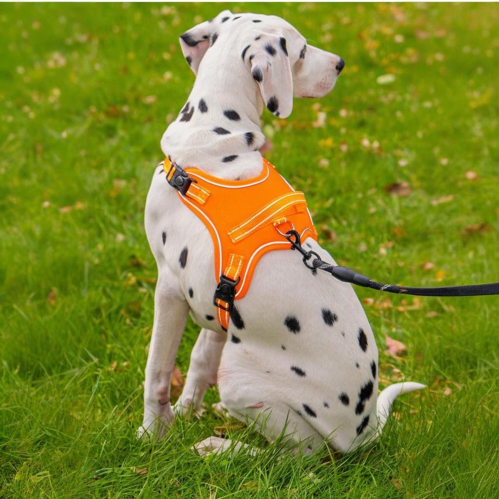 RichePet Dog Harness No Pull Adjustable Reflective Oxford for Small Medium Large Dogs Walk Training Pet Owners