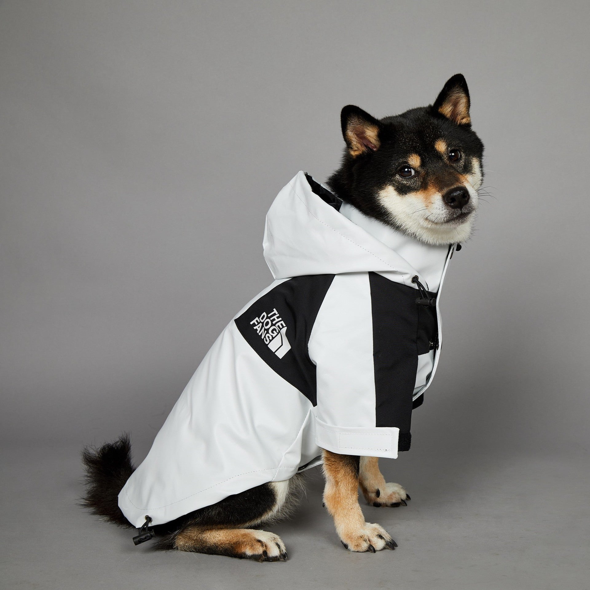 Stylish Waterproof Dog Raincoat Hooded Outdoor Pet Jacket