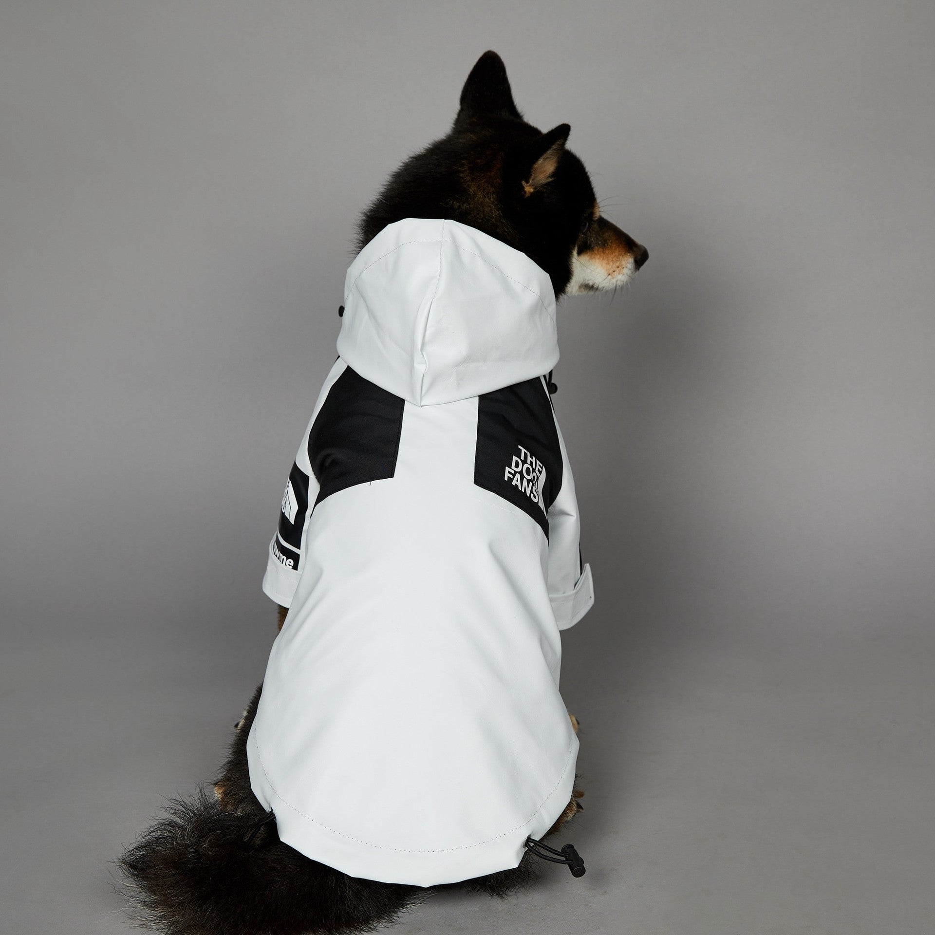 Stylish Waterproof Dog Raincoat Hooded Outdoor Pet Jacket