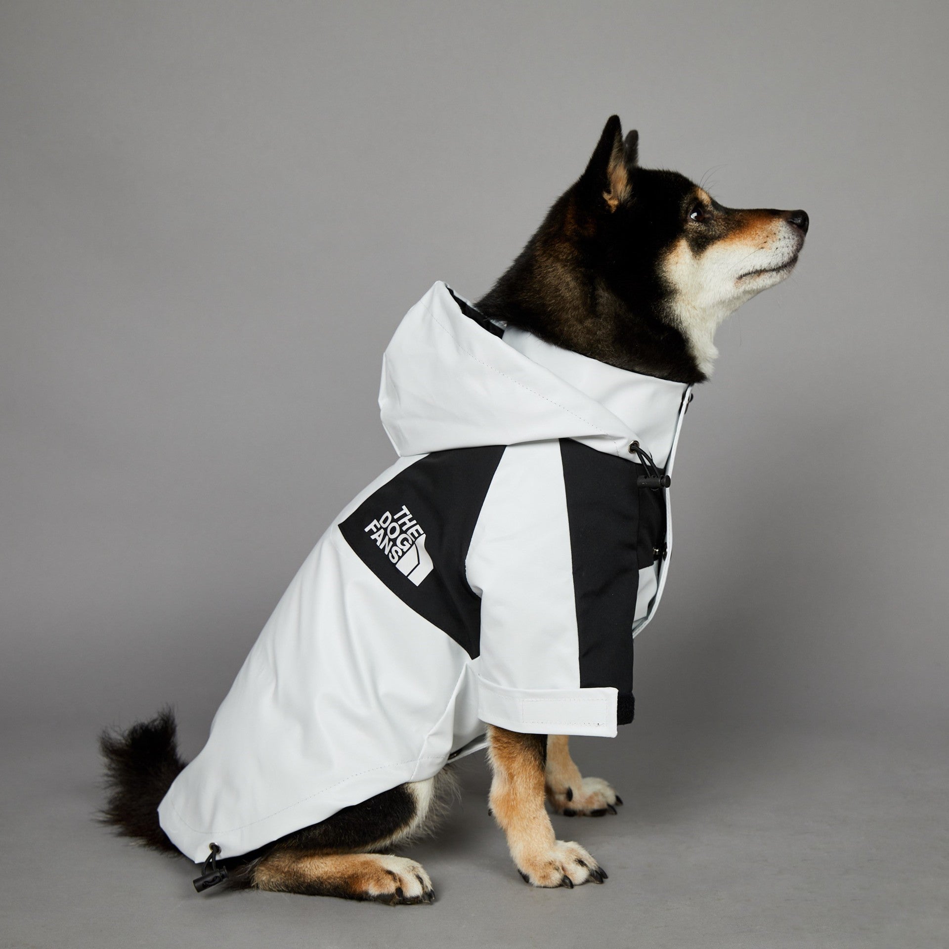 Stylish Waterproof Dog Raincoat Hooded Outdoor Pet Jacket