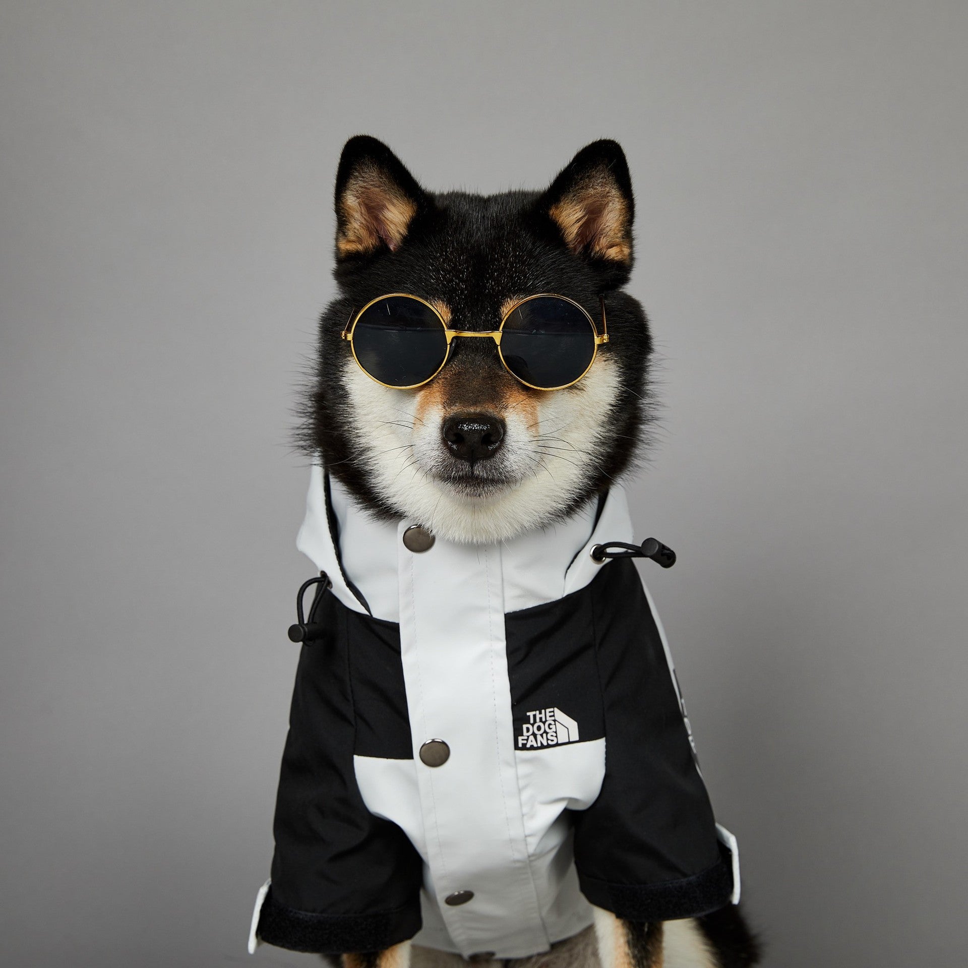 Stylish Waterproof Dog Raincoat Hooded Outdoor Pet Jacket