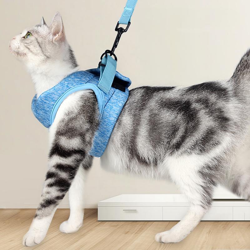 Cat Harness and Leash Set - Adjustable Soft Mesh Cat Vest for Walking